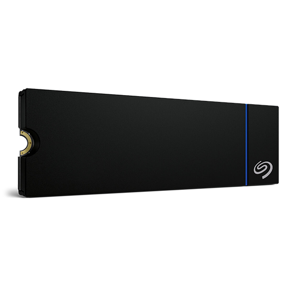 Жесткий диск Seagate ZP1000GP3A4001 1 TB SSD